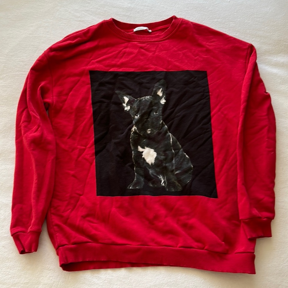 Zara sweater
